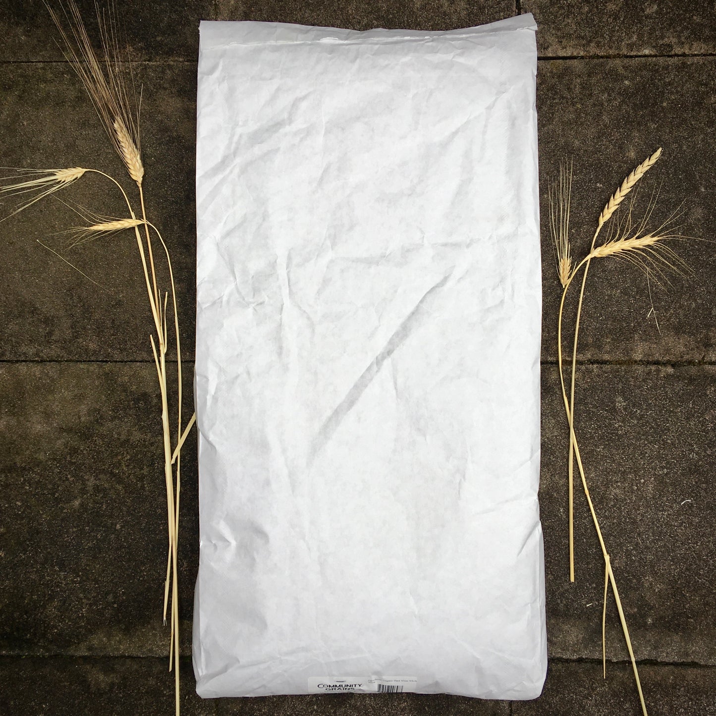 Patwin Hard White Winter Wheat Flour